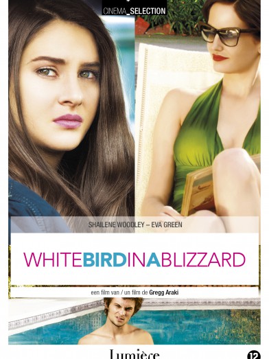 White Bird in a Blizzard